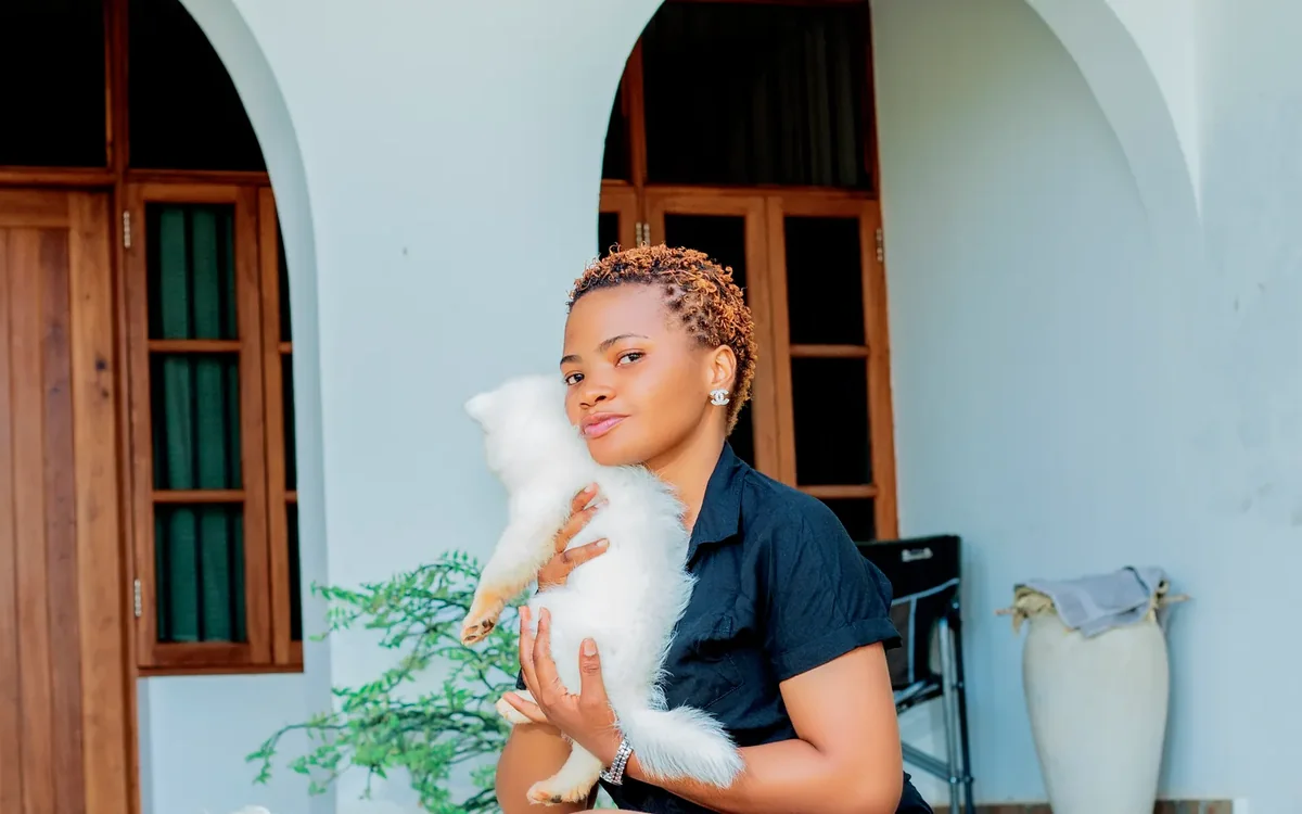 pet owner feeding dog cat home in an everyday setting